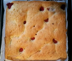 Rasp Final cake jpg.
