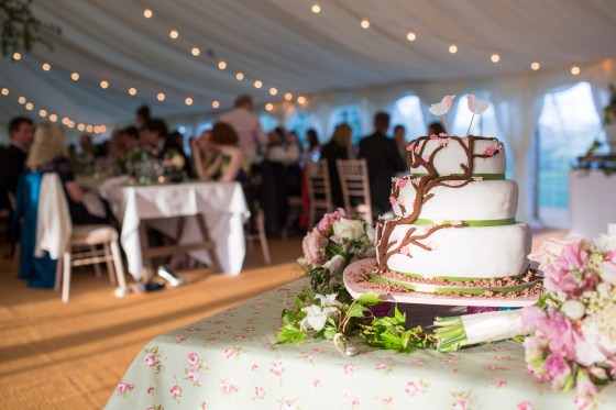 Wedding_Highlights_133_5400